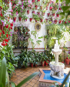  Visita Guiada  Patios Populares  de Córdoba