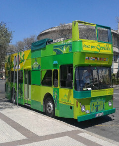 Bus turístico verde en Sevilla 
