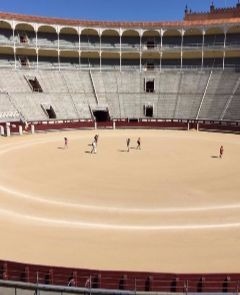 Las Ventas Tour Experience: Visita con Audioguía