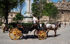 Esencia de Sevilla en Coche de Caballos